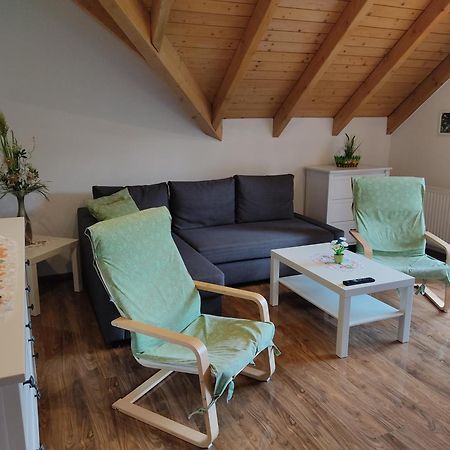 Gemuetliche Ferienwohnung Im Schoenen Erzgebirge - Wohnung Fruehling Eibenstock Esterno foto