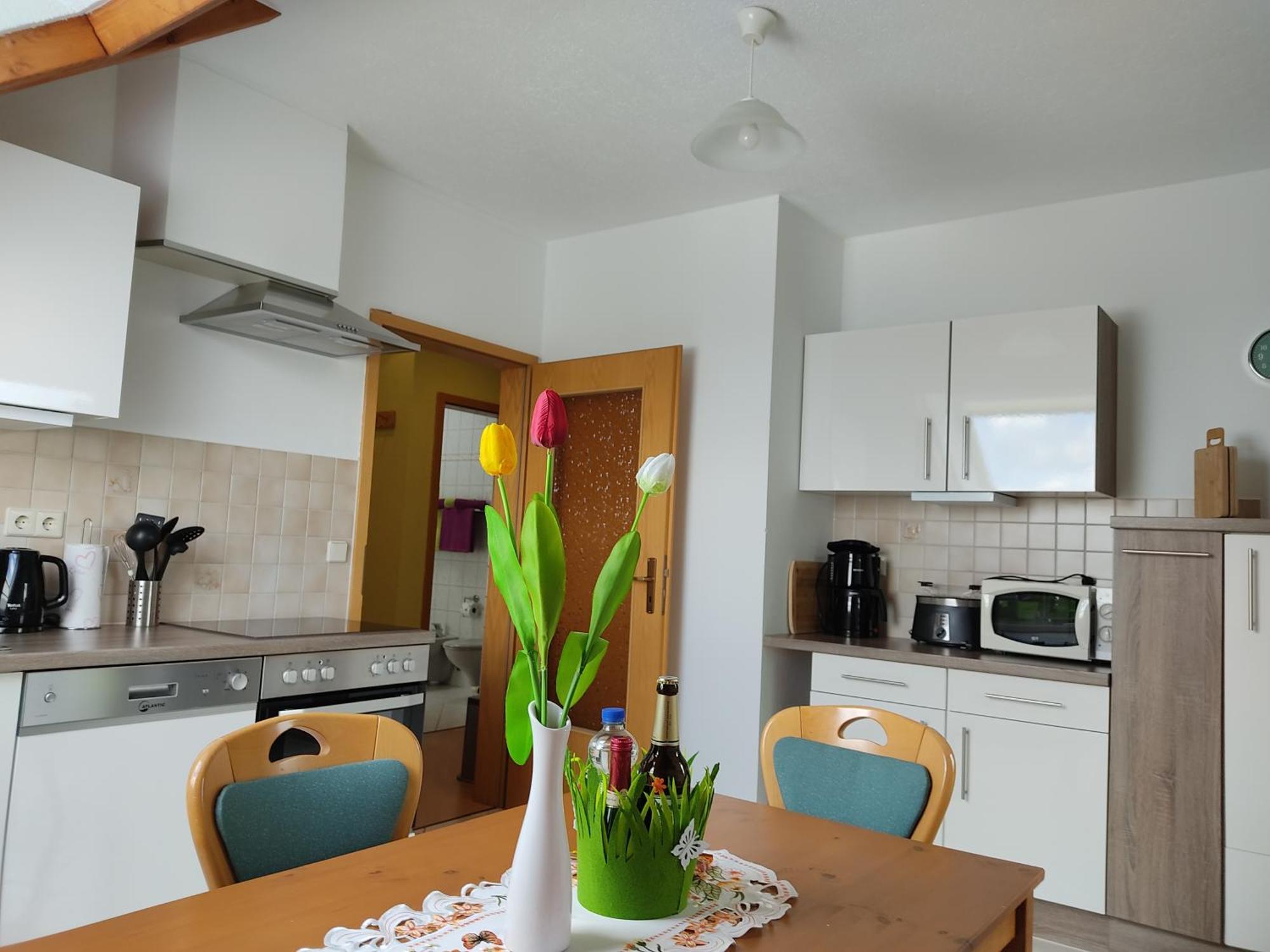 Gemuetliche Ferienwohnung Im Schoenen Erzgebirge - Wohnung Fruehling Eibenstock Esterno foto